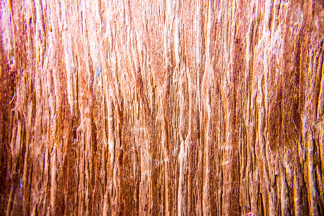 Peter Dowell's macro photography close-up of plywood